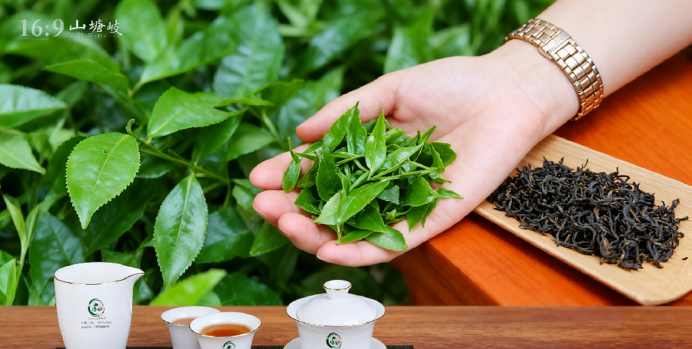 下面为您详细解读什么是古法传统工艺六堡茶