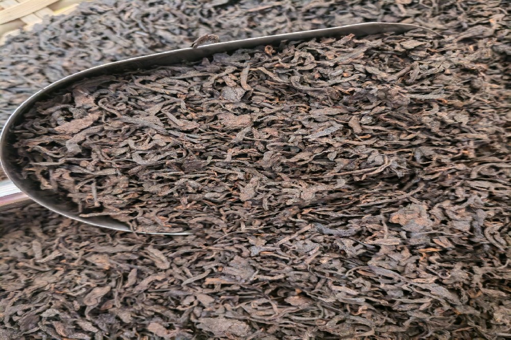 传统工艺六堡茶:追寻即将被时光封存的“古早味”