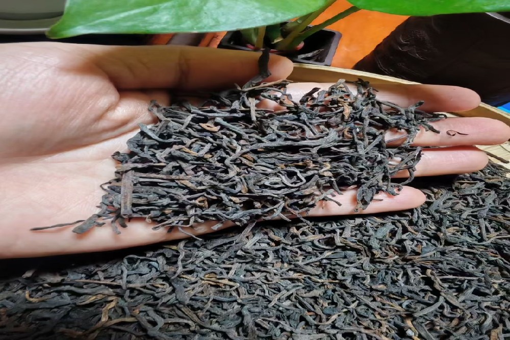 六堡茶:天然脂肪分解与解腻高手,科学揭秘饭后一杯茶的消脂奥秘